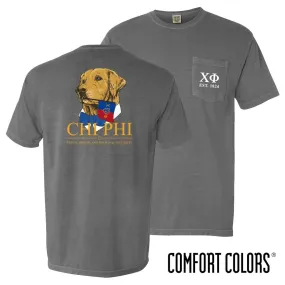 Chi Phi Comfort Colors Retriever Flag Tee