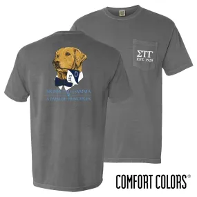 Sig Tau Comfort Colors Retriever Flag Tee