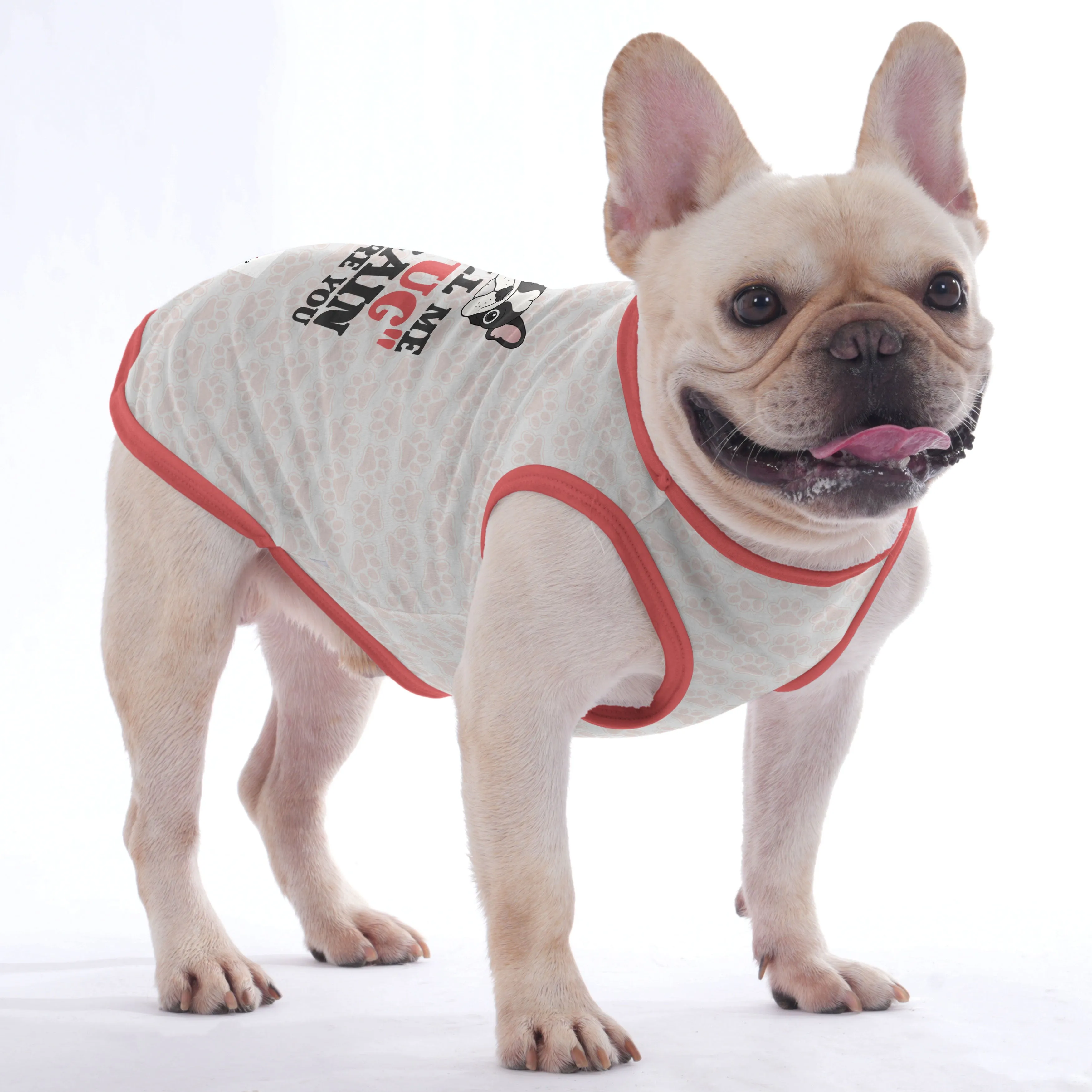 Soot  -  Shirt for Frenchies - Frenchie Shop Original